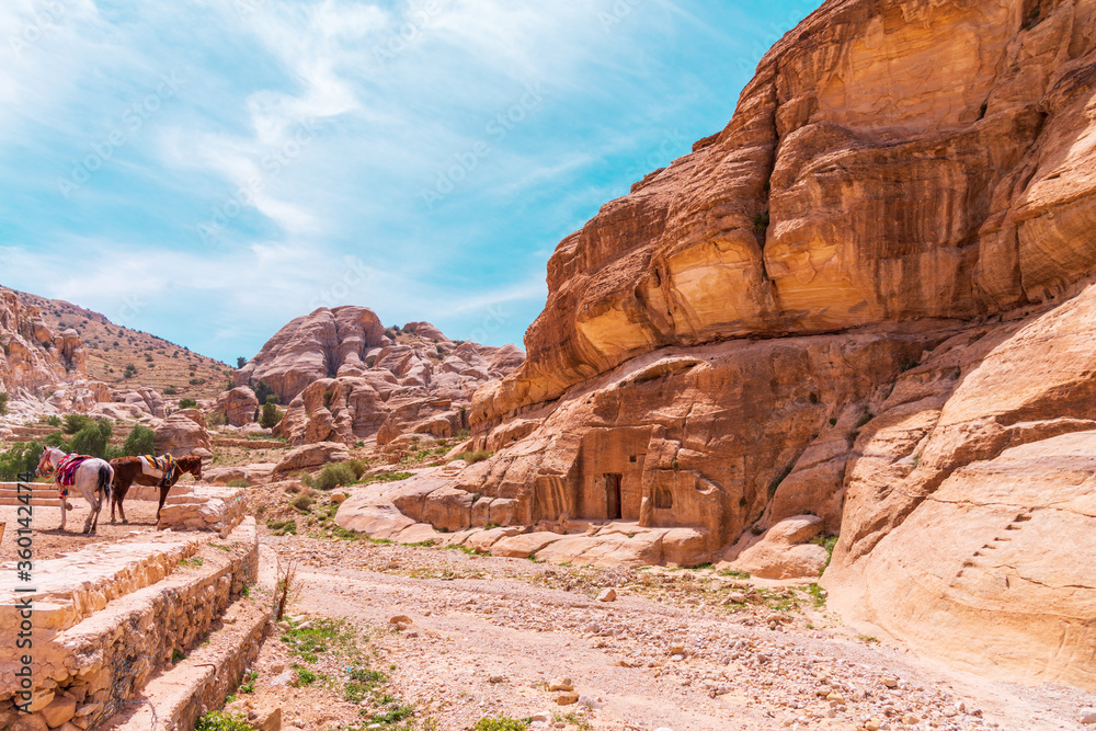 Fototapeta premium Canyon.