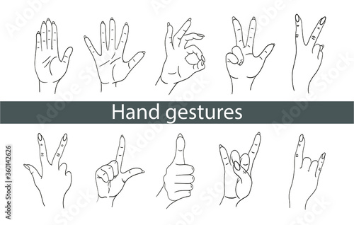 Popular hand gestures. Set of vector gestures. Gestures okay, cool, give five. Hand finger icon on a white background. Sign language. Design for logos, stickers, t-shirts, web.