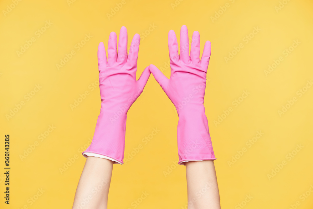 Obraz premium Front view of raised hands in red rubber gloves being isolated against orange background, keeping all fingers separately. Human hands and body concept