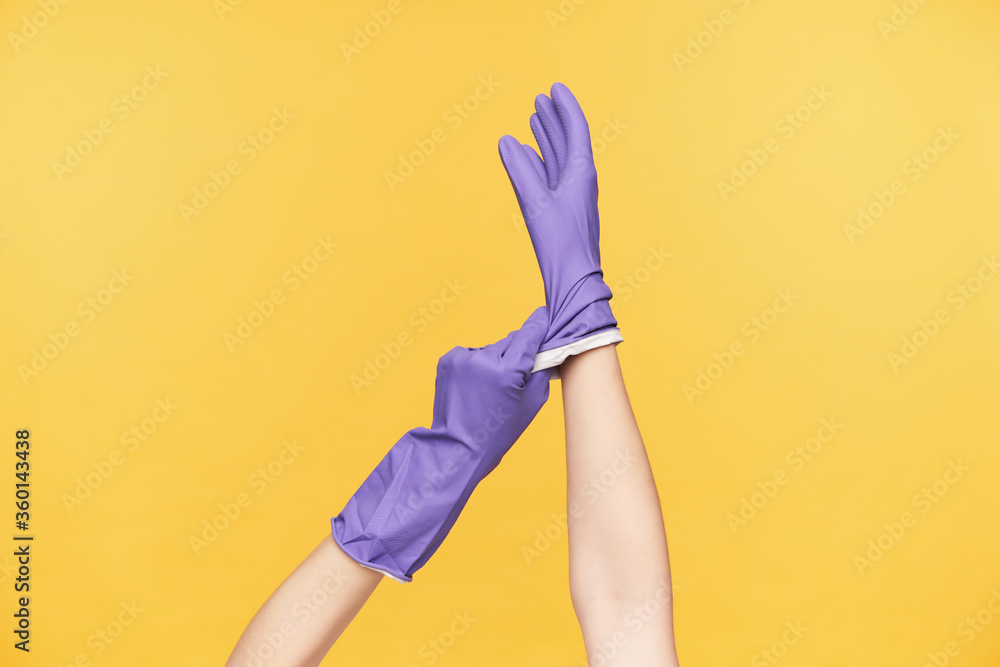 Cropped shot of female's hands being raised while pulling on blue rubber glove before cleaning house, posing over orange background. Human hands and cleaning concept Cropped shot of female's hands being raised while pulling on blue rubber glove before cleaning house, posing over orange background. Human hands and cleaning concept