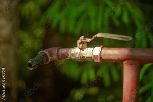 Water tap in the garden, in the background spruce branches in a blur © Svetliy