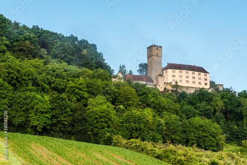 Guttenberg Castle in Neckar Valley, Baden-Wuerttemberg, Germany