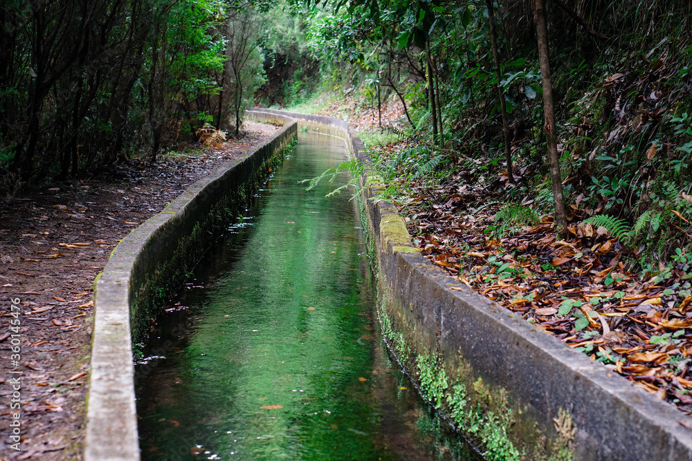 Levada Faja do Rodrigues Levada Faja do Rodrigues