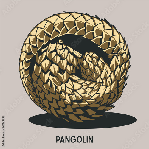 Vector Pangolin, Isolated Cingulata Emblem, Label, Badge Style 