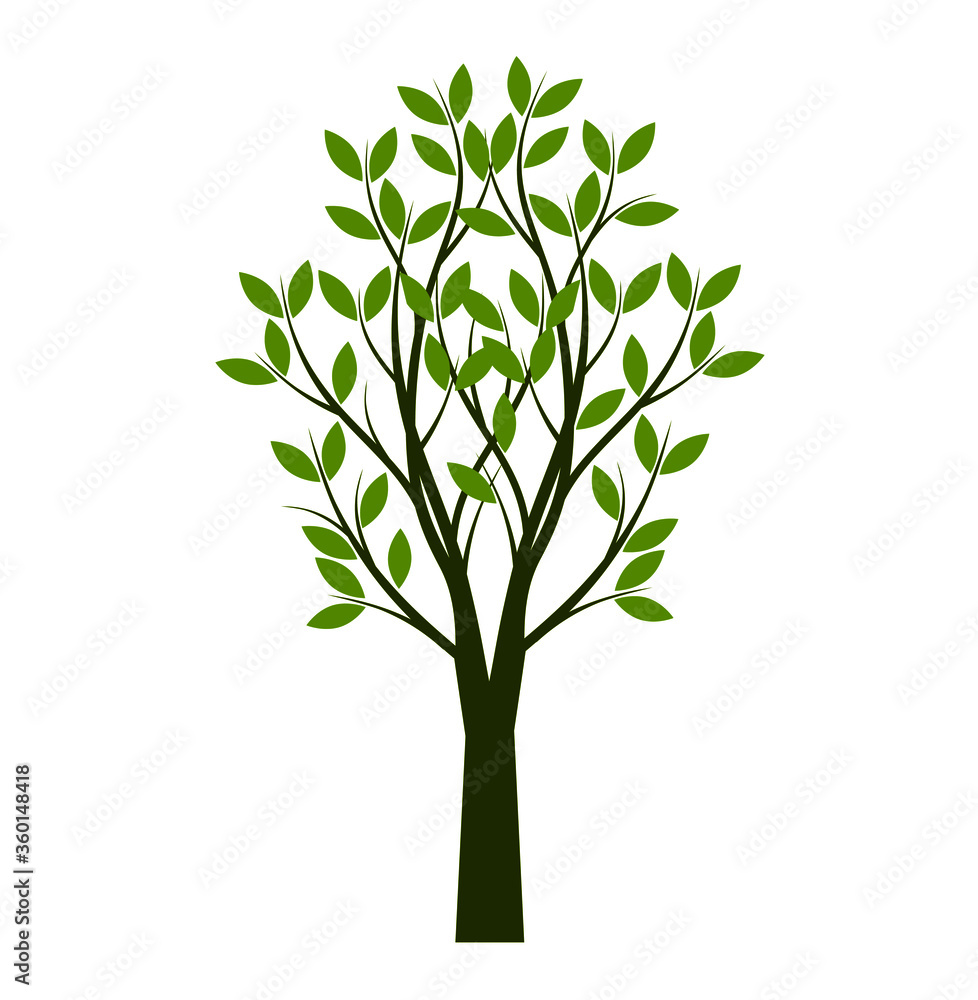 Fototapeta premium Green Tree with Leaves. Vector outline Illustration. Plant in Garden. EPS file. 