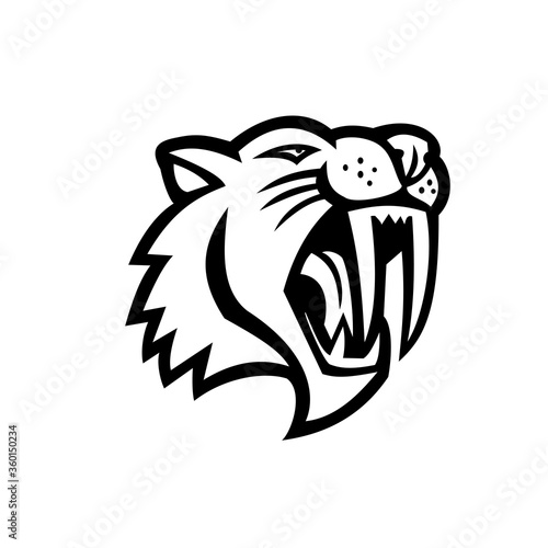 Angry Saber Toothed Cat Head Mascot Black and White