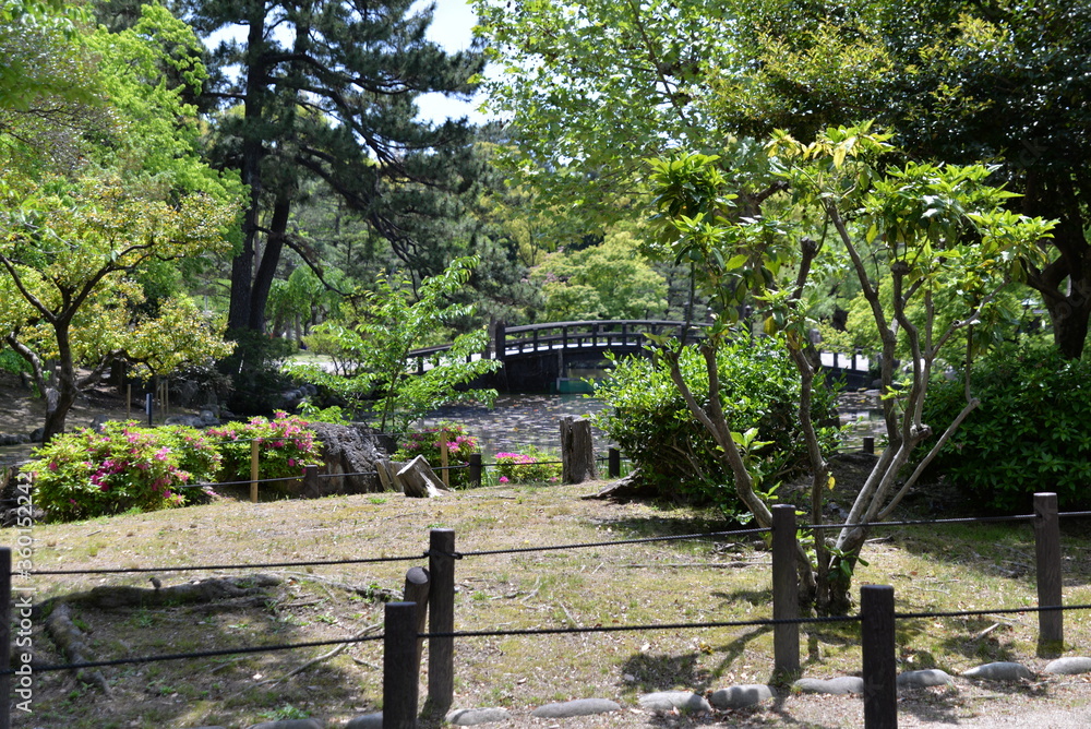 Fototapeta premium 鶴舞公園