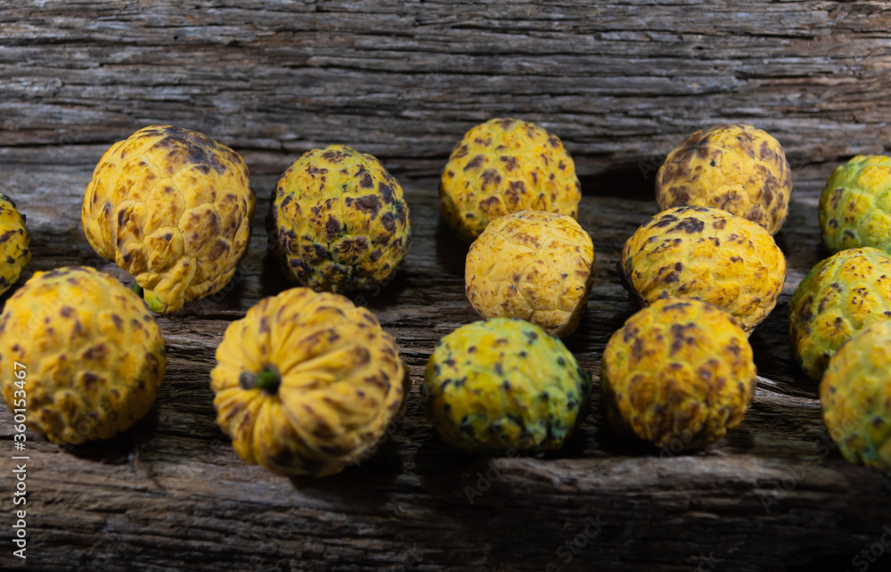 Obraz premium The araticum (Annona crassiflora) is a fruit native to the cerrado and belongs to the family Annonaceae.
