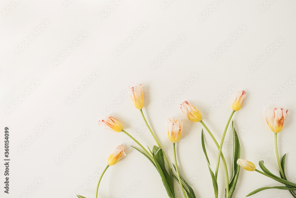 Yellow tulips flowers on white background. Festive holiday celebration floral concept Yellow tulips flowers on white background. Festive holiday celebration floral concept