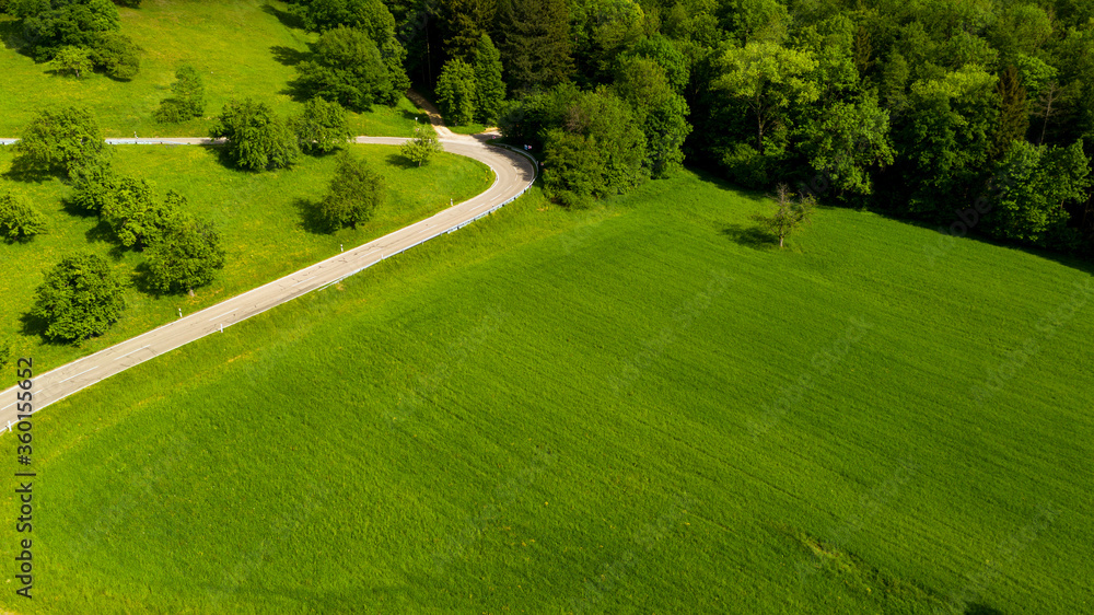 Obraz premium Wald- und Wiesenlandschaft