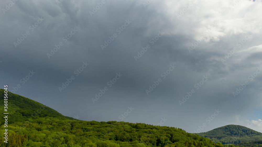 Wald- und Wiesenlandschaft