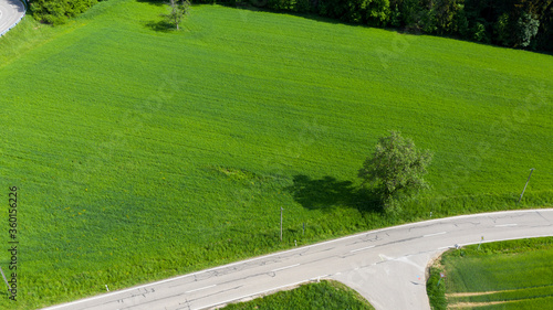 Wald- und Wiesenlandschaft