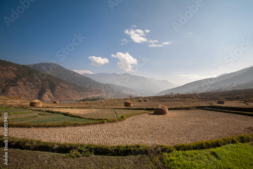 Rice farm landscape in Bhutan