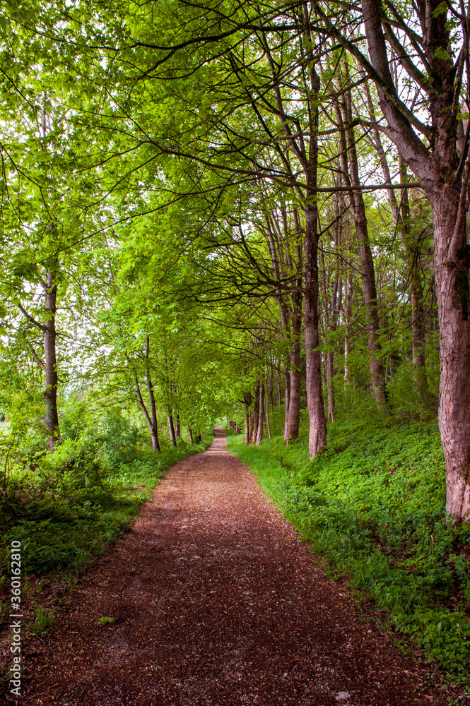 Idyllischer Wanderweg auf der Ilkahöhe, Tutzing, Oberbayern Idyllischer Wanderweg auf der Ilkahöhe, Tutzing, Oberbayern