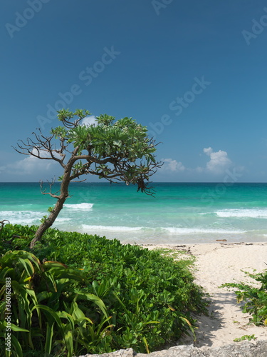 Fototapeta Naklejka Na Ścianę i Meble -  
Okinawa,Japan-June 23, 2020: Beautiful sea and shore of Toguchinohama beach in Irabujima island, Japan
