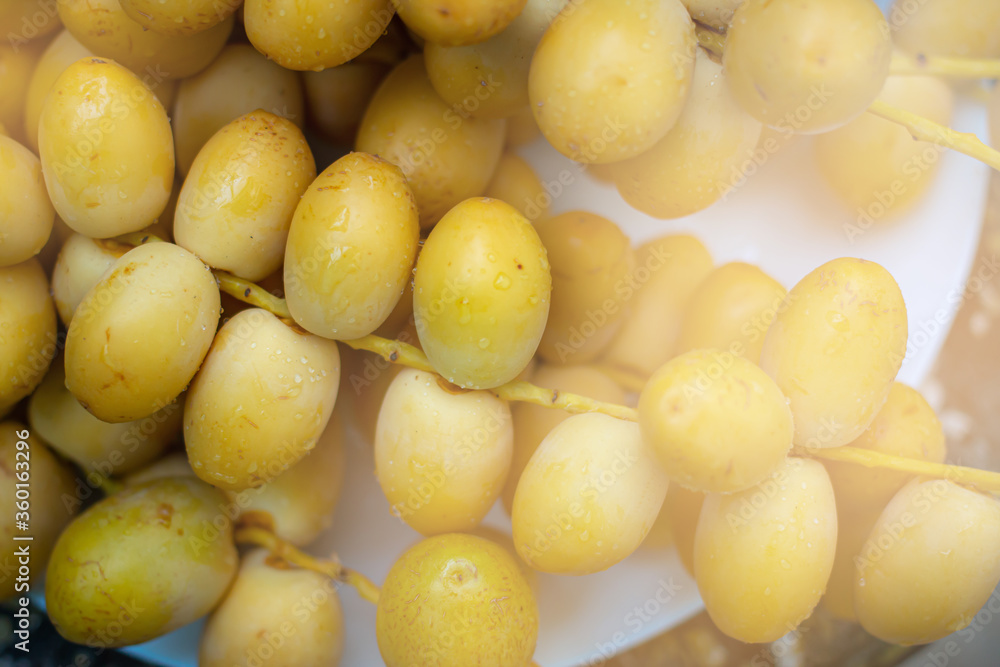 Group of Date Palm Fresh Group of Date Palm Fresh