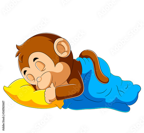 Baby monkey sleeping with blanket