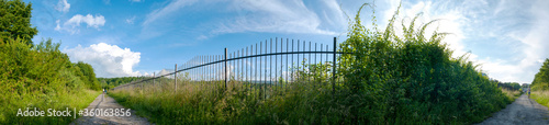 sunny landscape of the park - summer city park with metal fences and deciduous green trees in sunny weather