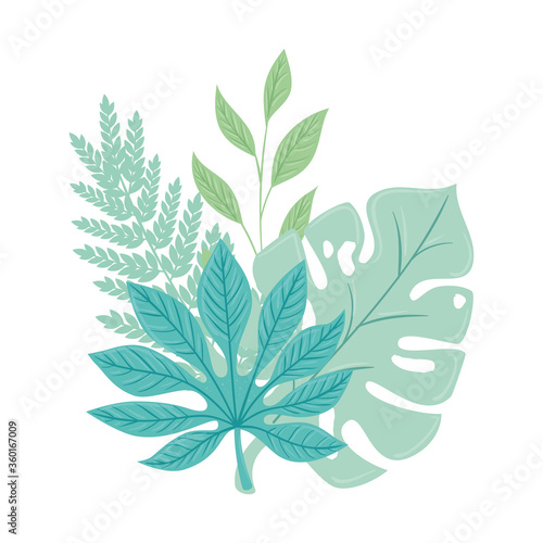 tropical branches with leaves pastel color on white background vector illustration design