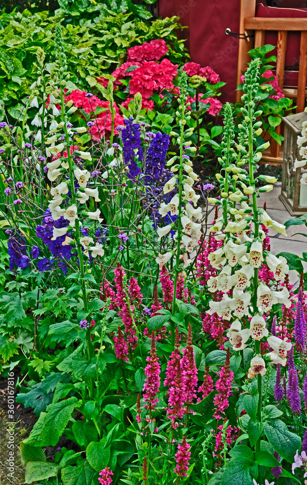 Close up of colourful flowers in the border around a terrace