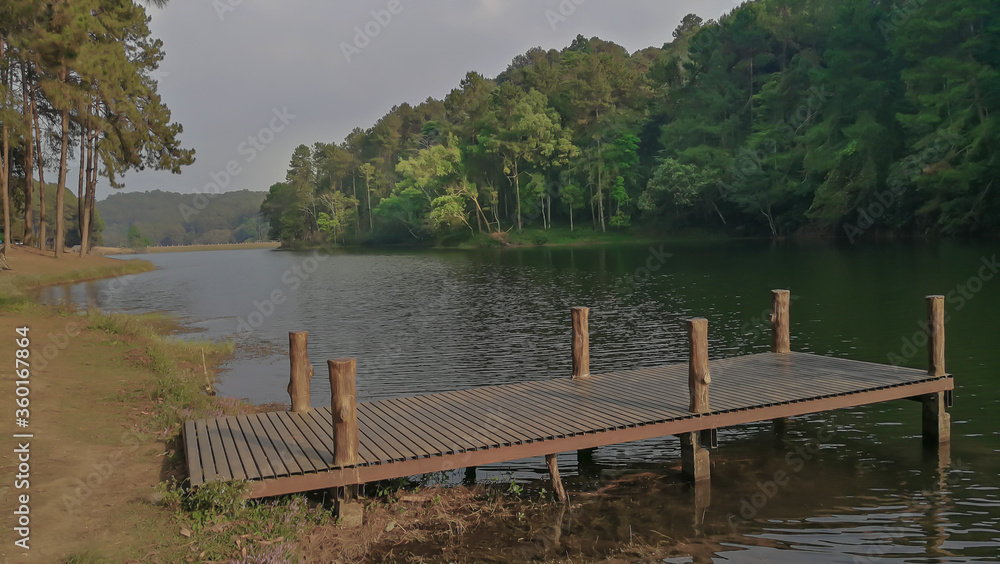 Bridge - Built Structure, Wood - Material, Agricultural Field, No People, Old