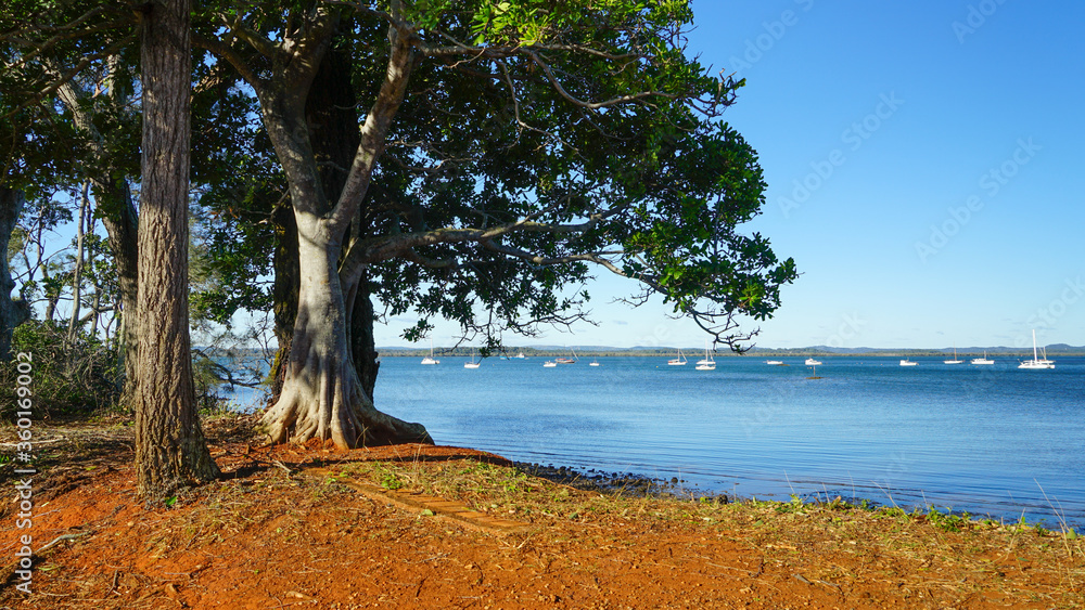 Trees on the shoreline, and boats moored in the bay. Redland Bay, Queensland, Australia. Trees on the shoreline, and boats moored in the bay. Redland Bay, Queensland, Australia.
