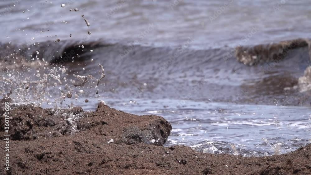 Black wave with dead algae contamination slow motion Black wave with dead algae contamination slow motion