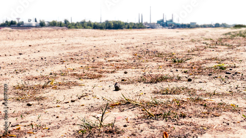 A dusty road with the Csepel 2 power plant in the background in Budapest. photo