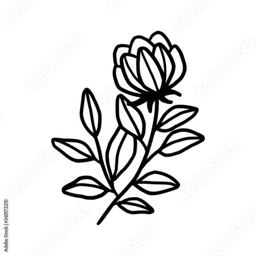 Hand drawn monochrome flower bud  plant  leaf  and foliage element for wedding invitation  logo  symbol  greeting cards  decor  botanical icon  or banner. Summer  spring  and autumn botany element