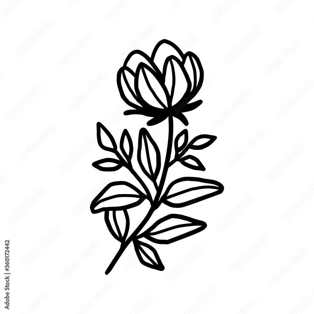 Hand drawn monochrome flower bud, plant, leaf, and foliage element for wedding invitation, logo, symbol, greeting cards, decor, botanical icon, or banner. Summer, spring, and autumn botany element Hand drawn monochrome flower bud, plant, leaf, and foliage element for wedding invitation, logo, symbol, greeting cards, decor, botanical icon, or banner. Summer, spring, and autumn botany element