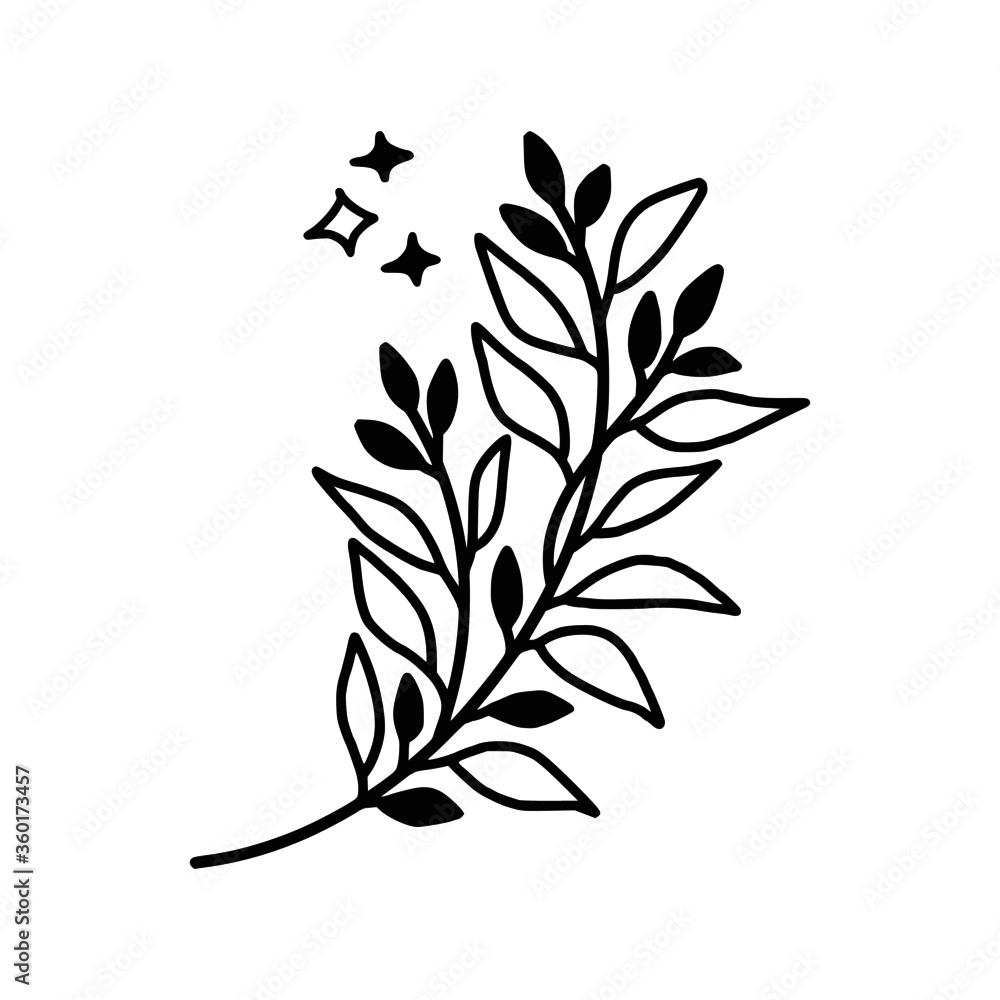 Hand drawn monochrome plant, leaf, and foliage element for wedding invitation, logo, symbol, greeting cards, decor, botanical icon, or banner. Summer, spring, and autumn botany element Hand drawn monochrome plant, leaf, and foliage element for wedding invitation, logo, symbol, greeting cards, decor, botanical icon, or banner. Summer, spring, and autumn botany element
