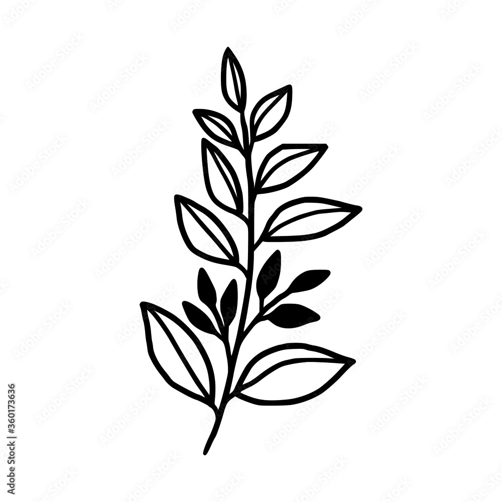 Fototapeta premium Hand drawn monochrome plant, leaf, and foliage element for wedding invitation, logo, symbol, greeting cards, decor, botanical icon, or banner. Summer, spring, and autumn botany element