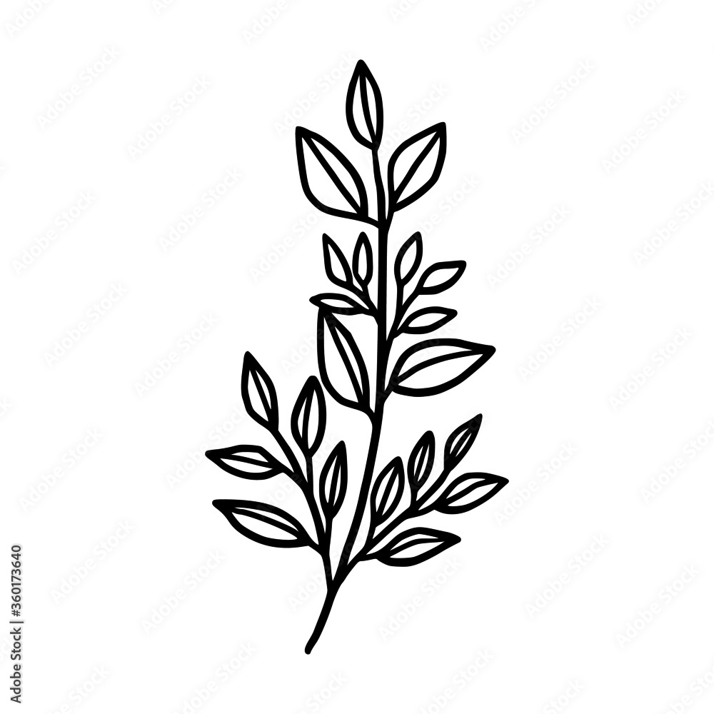 Fototapeta premium Hand drawn monochrome plant, leaf, and foliage element for wedding invitation, logo, symbol, greeting cards, decor, botanical icon, or banner. Summer, spring, and autumn botany element
