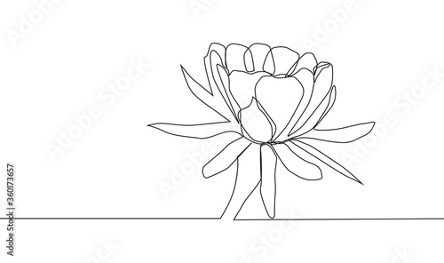 One line rose design - Hand drawn minimalism style
