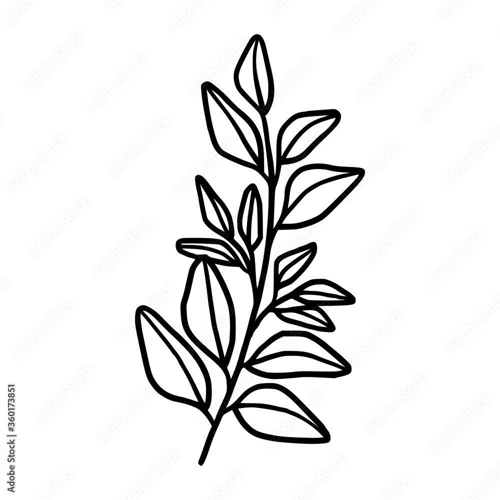 Hand drawn monochrome plant, leaf, and foliage element for wedding invitation, logo, symbol, greeting cards, decor, botanical icon, or banner. Summer, spring, and autumn botany element Hand drawn monochrome plant, leaf, and foliage element for wedding invitation, logo, symbol, greeting cards, decor, botanical icon, or banner. Summer, spring, and autumn botany element
