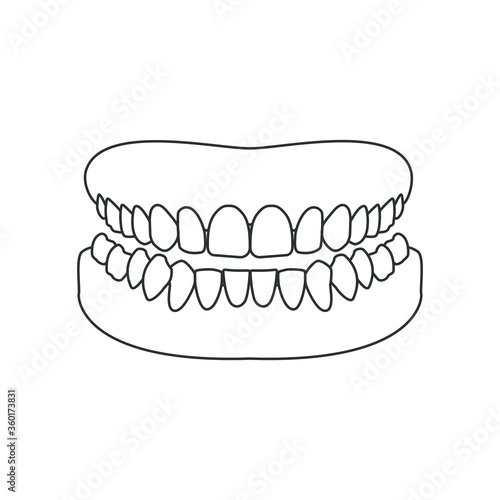 Human jaw outline icon. Human mouth, human teeth vector illustration.