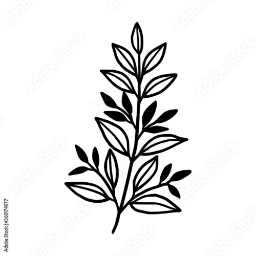 Hand drawn monochrome plant, leaf, and foliage element for wedding invitation, logo, engagement, or botanical logo © Artflorara
