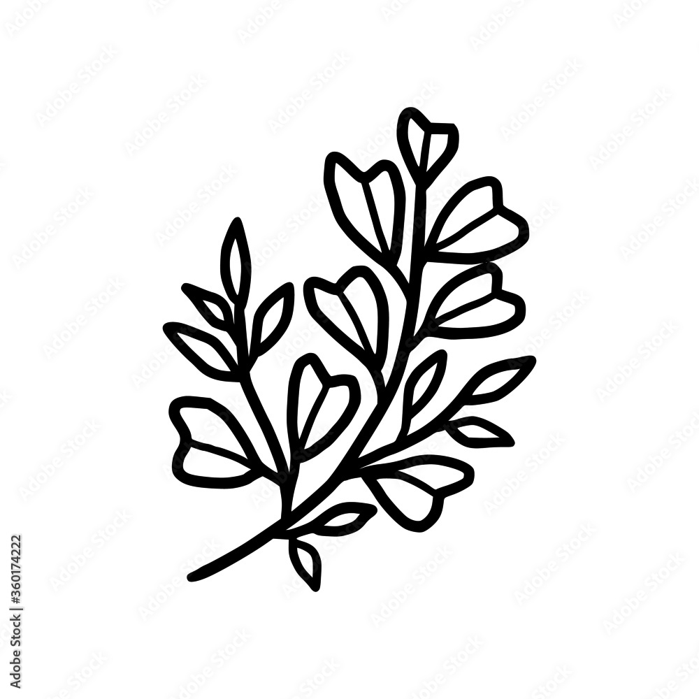 Fototapeta premium Hand drawn monochrome plant, leaf, and foliage element for wedding invitation, logo, symbol, greeting cards, decor, botanical icon, or banner. Summer, spring, and autumn botany element