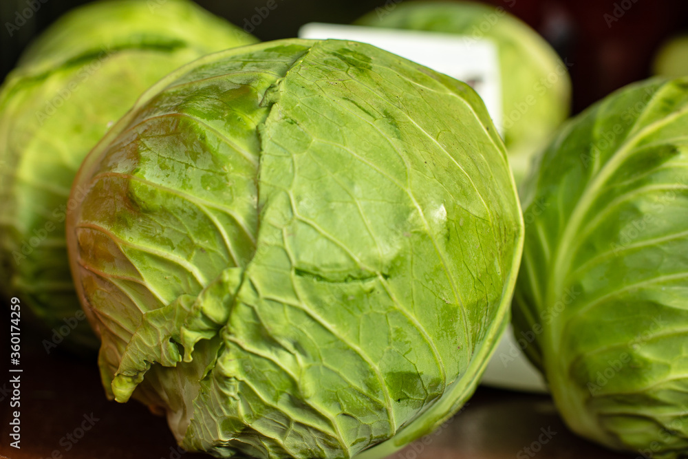 Fototapeta premium Green fresh cabbage Kachan, fresh greens on the market,