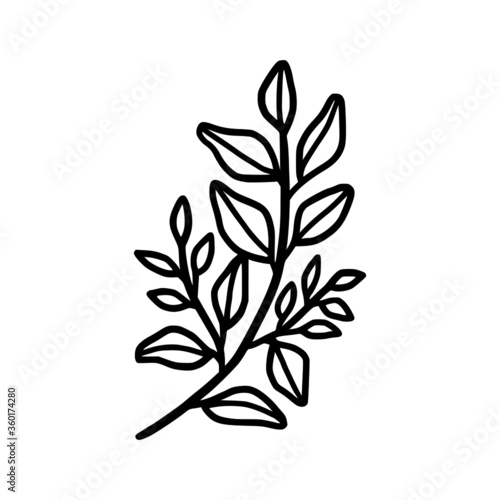Hand drawn monochrome plant  leaf  and foliage element for wedding invitation  logo  engagement  or botanical logo