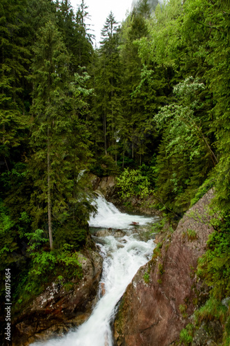 .River in the mountains among the trees. Rainy day in the mountains. Summer in the mountains. Waterfall. Tatra mountains..