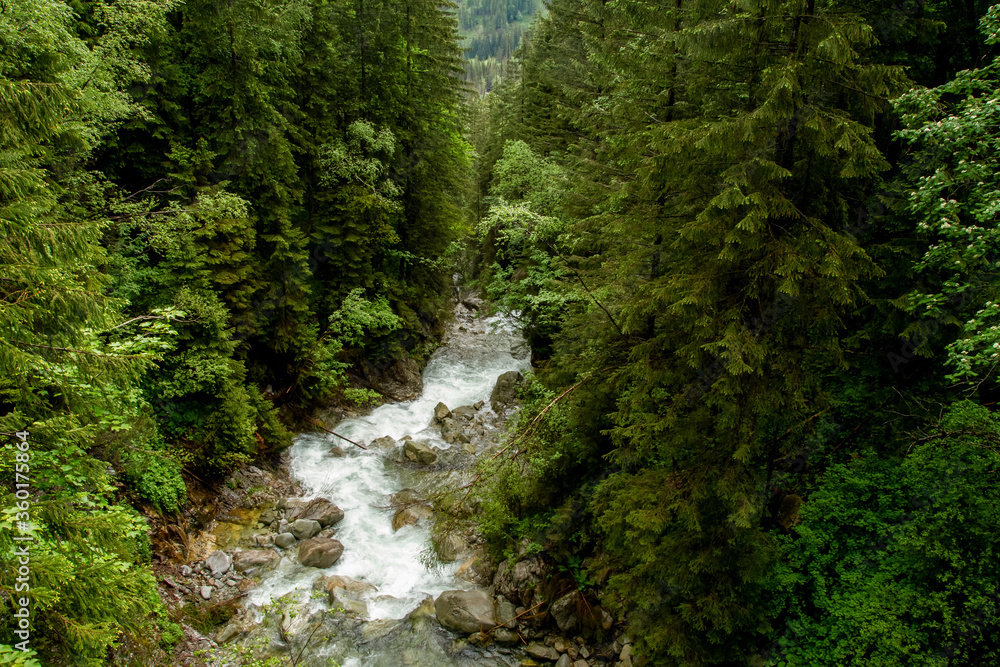 .River in the mountains among the trees. Rainy day in the mountains. Summer in the mountains. Waterfall. Tatra mountains..