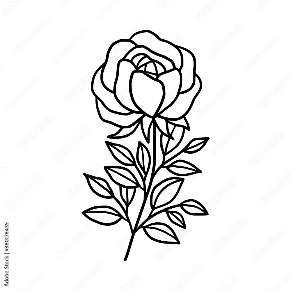 Hand drawn monochrome rose flower plant, leaf, and foliage element for wedding invitation, logo, symbol, greeting cards, decor, botanical icon, or banner. Summer, spring, and autumn botany element Hand drawn monochrome rose flower plant, leaf, and foliage element for wedding invitation, logo, symbol, greeting cards, decor, botanical icon, or banner. Summer, spring, and autumn botany element