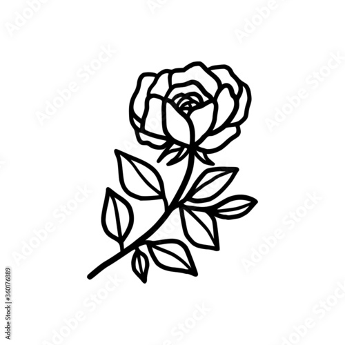 Hand drawn monochrome rose flower plant, leaf, and foliage element for wedding invitation, logo, symbol, greeting cards, decor, botanical icon, or banner. Summer, spring, and autumn botany element