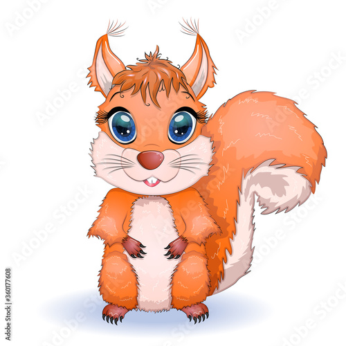 Red squirrel, front view of Sciurus Vulgaris, isolated on white background.