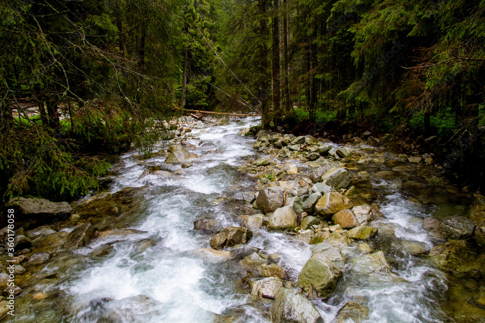 .River in the mountains among the trees. Rainy day in the mountains. Summer in the mountains. Waterfall. Tatra mountains.. .River in the mountains among the trees. Rainy day in the mountains. Summer in the mountains. Waterfall. Tatra mountains..