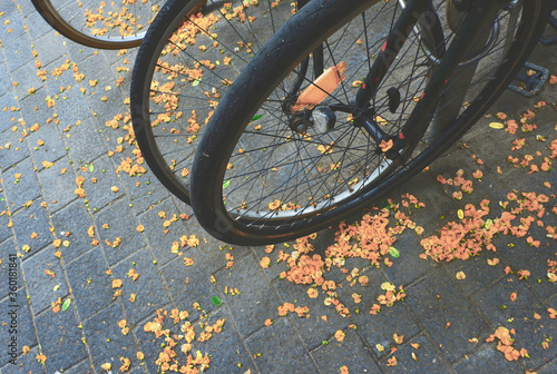 Bicycle wheels locked together in parking spot. Public park of Barcelona, Spain