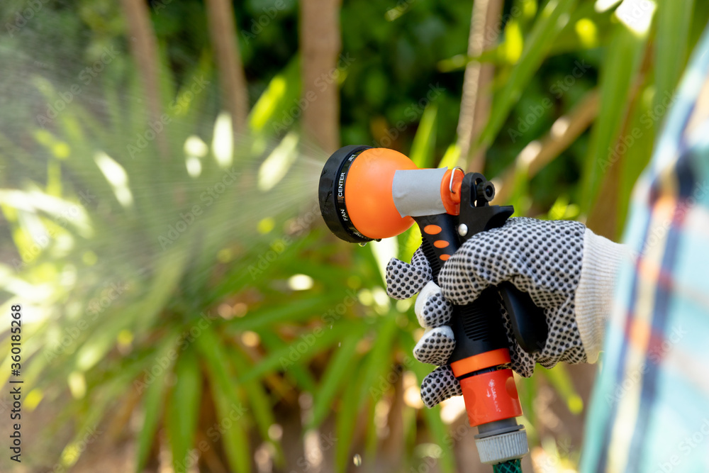 Senior of a man watering plants with a hose in the garden Senior of a man watering plants with a hose in the garden