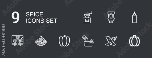 Editable 9 spice icons for web and mobile