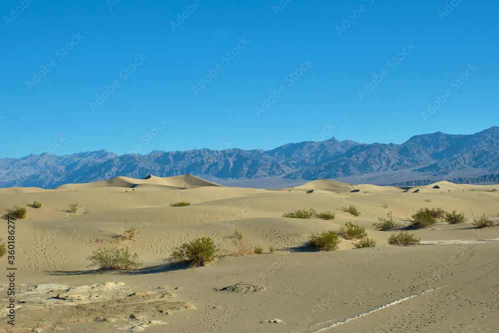 Mesquite Flat Sand Dunes, Death Valley National Park Mesquite Flat Sand Dunes, Death Valley National Park